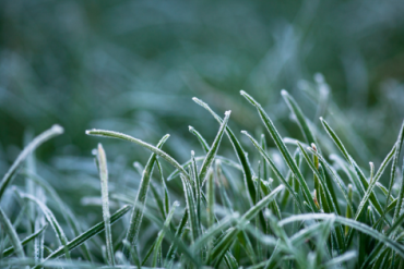 The Anatomy of Winter Posture: Why We Hunch when it’s Cold and How to Undo It